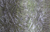 Knightsmill fibreglass roof work